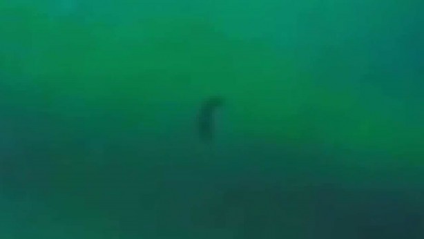 Foto - 60 senedir gezegenimizin etrafında dolaşıyor!