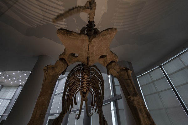 Foto - 60 yılda toplandı şimdi sergilenecek