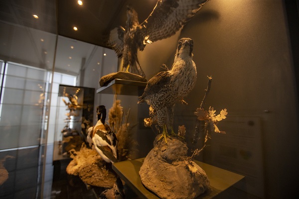 Foto - 60 yılda toplandı şimdi sergilenecek