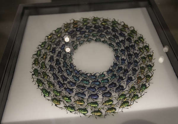 Foto - 60 yılda toplandı şimdi sergilenecek