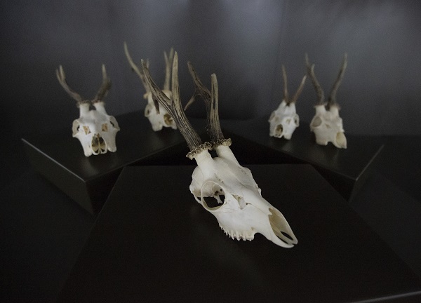 Foto - 60 yılda toplandı şimdi sergilenecek