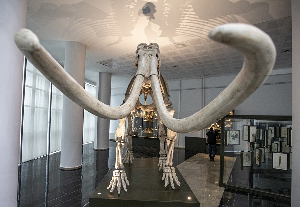 Foto - 60 yılda toplandı şimdi sergilenecek