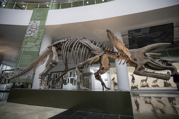 Foto - 60 yılda toplandı şimdi sergilenecek