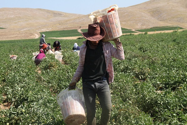 Foto - 600 kişiye istihdam, yurt dışına ihracat! Geçen sene kiraladı ama sonuç harika
