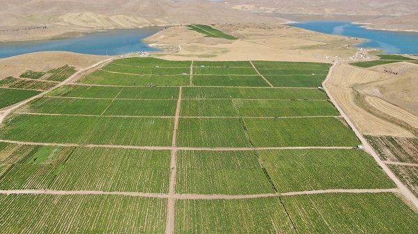 Foto - 600 kişiye istihdam, yurt dışına ihracat! Geçen sene kiraladı ama sonuç harika
