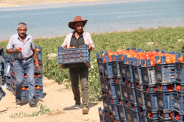 Foto - 600 kişiye istihdam, yurt dışına ihracat! Geçen sene kiraladı ama sonuç harika