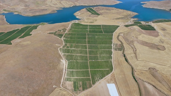 Foto - 600 kişiye istihdam, yurt dışına ihracat! Geçen sene kiraladı ama sonuç harika