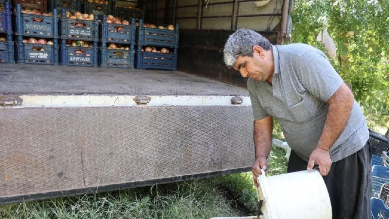 Foto - 600 rakımda, sarp arazilerde üstelik: Kilosu 70 TL'den alıcı buluyor