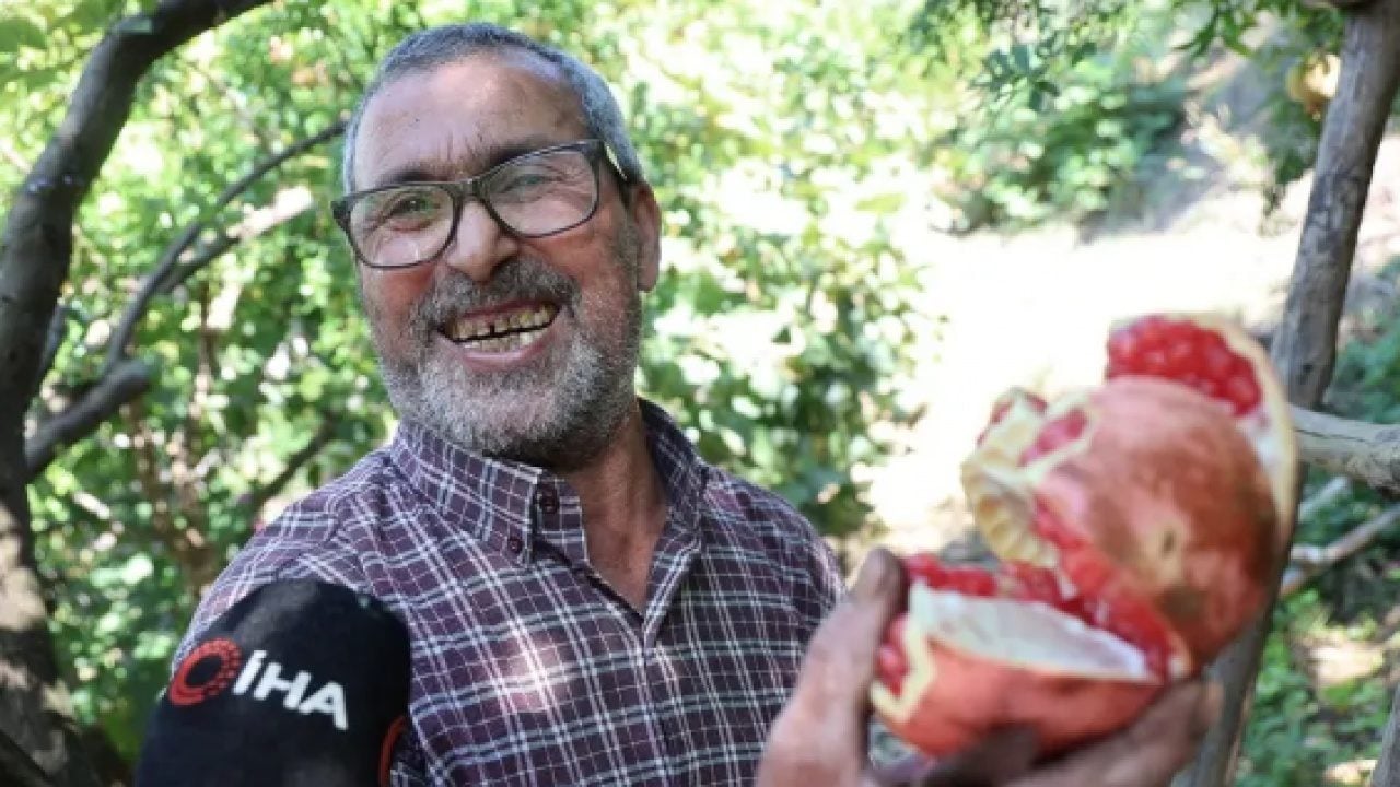 Foto - 600 rakımda, sarp arazilerde üstelik: Kilosu 70 TL'den alıcı buluyor