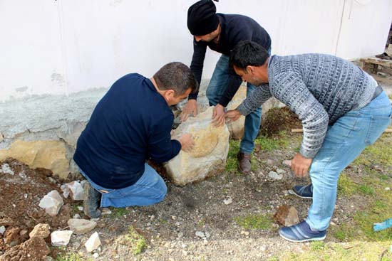 Foto - 65 milyon yıllık salyangoz fosili, evin duvarından söküldü