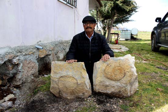 Foto - 65 milyon yıllık salyangoz fosili, evin duvarından söküldü