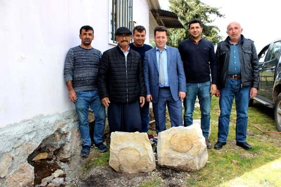 Foto - 65 milyon yıllık salyangoz fosili, evin duvarından söküldü
