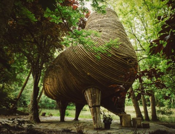 Foto - 65 yaşındaki bir palyaçonun muhteşem evi