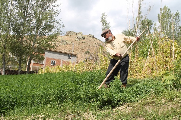 Foto - 66'lık Pala Amca'nın sırrı