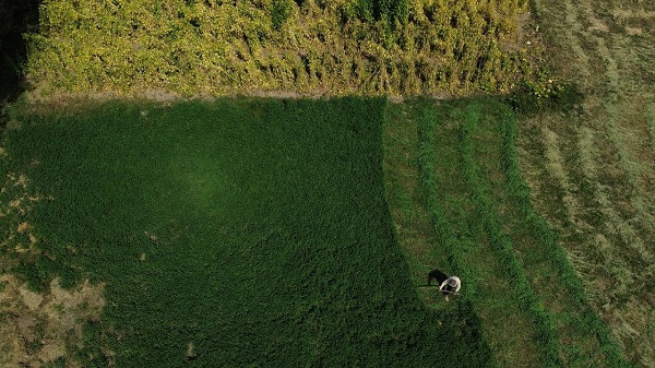 Foto - 66'lık Pala Amca'nın sırrı