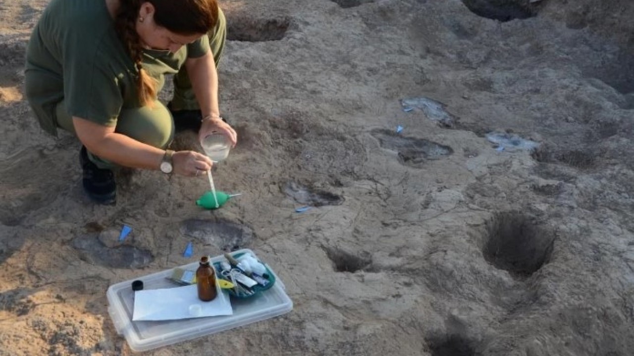 Foto - 7 bin 200 yıllık keşif! Tell Kurdu Höyüğünde ortaya çıktı