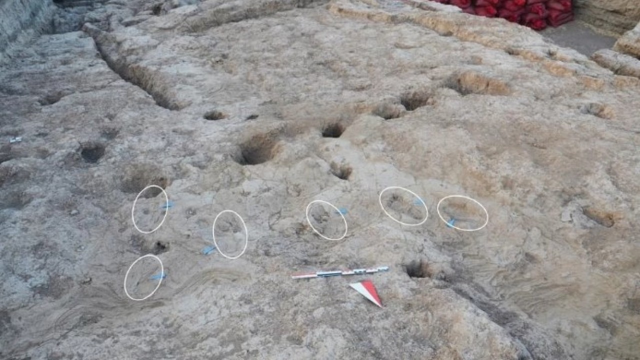 7 bin 200 yıllık keşif! Tell Kurdu Höyüğünde ortaya çıktı