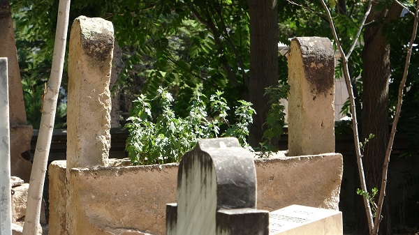 Foto - 7 bin evliya bulunuyor! Dünyada sadece 3 tane var biri Türkiye'de