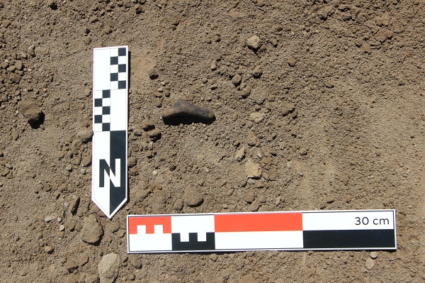 Foto - 7 bin yıllık! Pulur Höyük'te önemli keşif