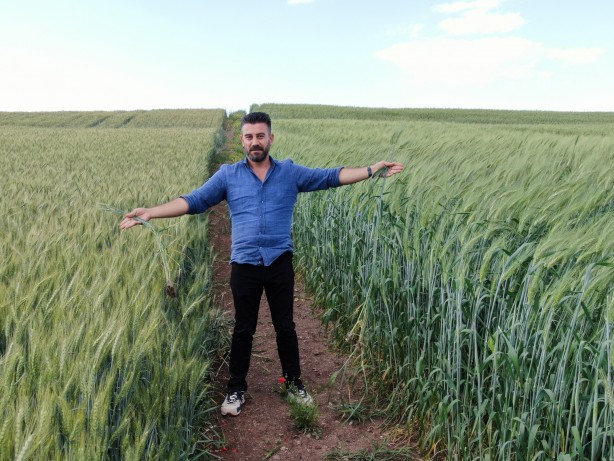Foto - 7 bin yıllık tohumu bahçesine dikti! Aldığı sonuç Türkiye'yi ayağa kaldırdı