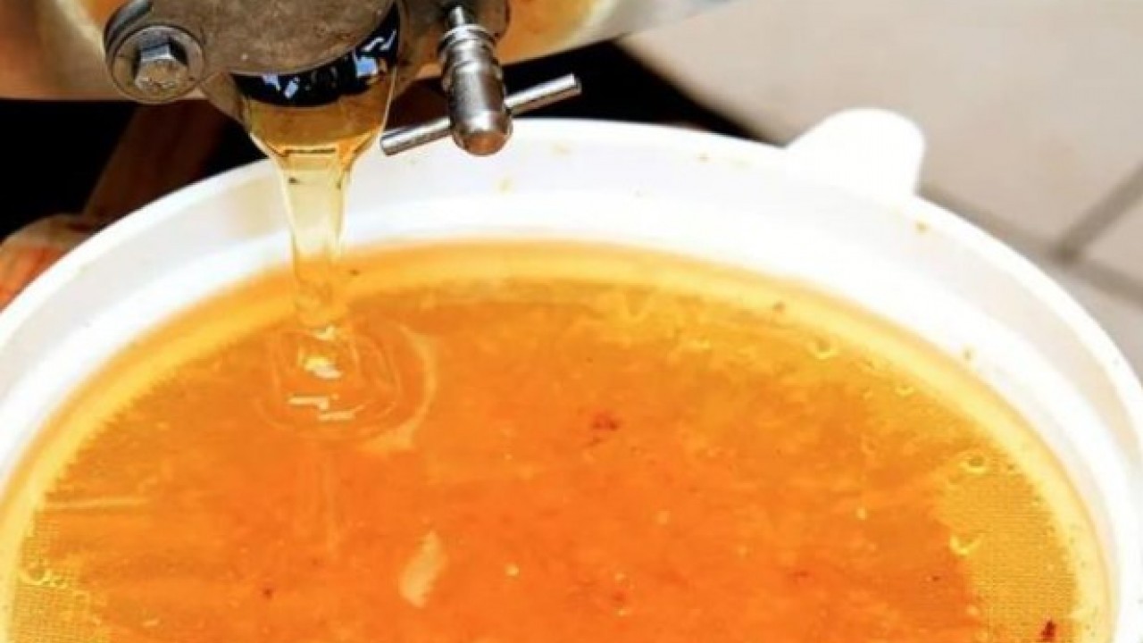 Foto - 7 gün boyunca tüketirseniz bakın ne oluyor! Ballı sarımsağın vücuda faydaları açıklandı