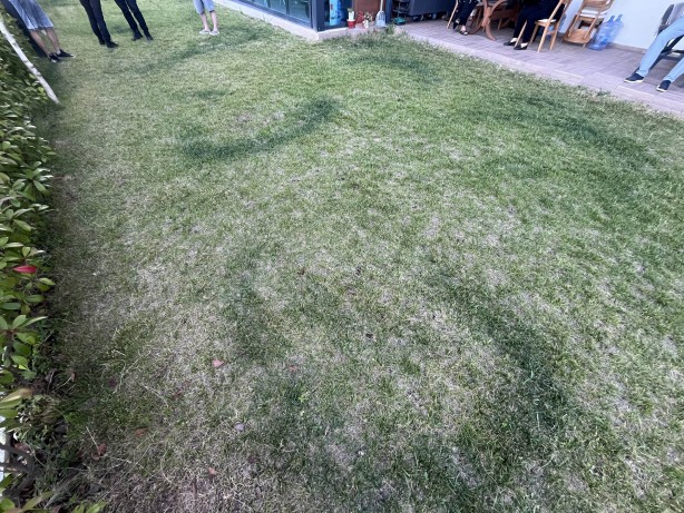 Foto - 7. kattan düşen genç hayatını kaybetti