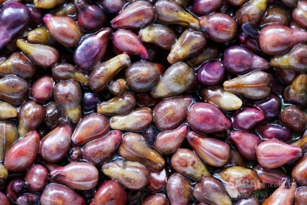 Foto - 7 tane tükettiğinizde böbrekleri tamamen yeniliyor! Vücuttaki tüm zehri atıyor