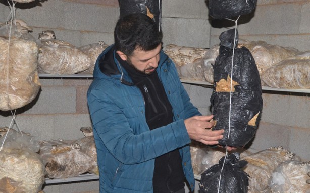 Foto - 7 torba ile başladı, evin üst katını üretim tesisi yaptı! Marketler onun için resmen kuyruk oldu! Sen ne yaptın böyle 