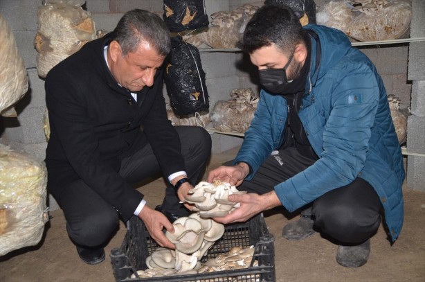Foto - 7 torba ile başladı, evin üst katını üretim tesisi yaptı! Marketler onun için resmen kuyruk oldu! Sen ne yaptın böyle 