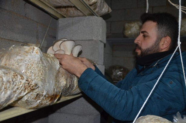 Foto - 7 torba ile başladı, evin üst katını üretim tesisi yaptı! Marketler onun için resmen kuyruk oldu! Sen ne yaptın böyle 