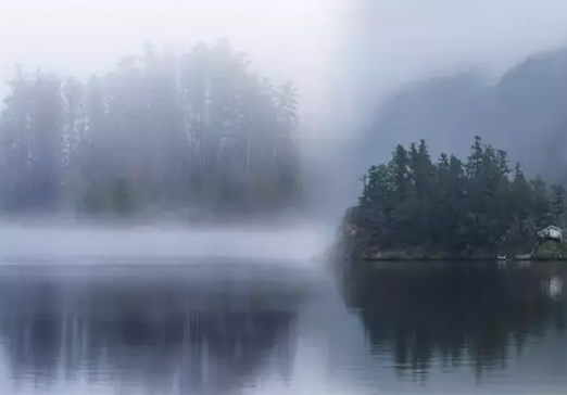 Foto - 7 yılda bir ortaya çıkan gizemli ada! Bu kadarına da pes doğrusu: '2 gün burada kalınca doktor oldu'