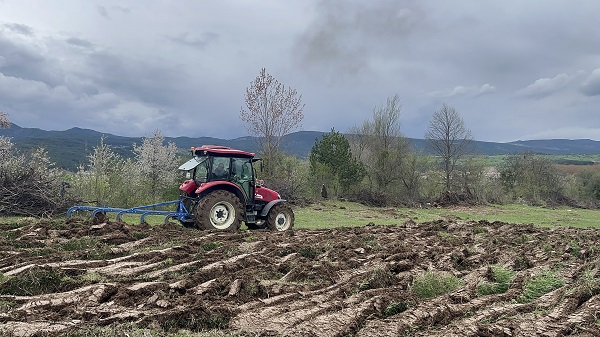 Foto - 70 yıldır boş kalan arazi yeniden filizlenecek