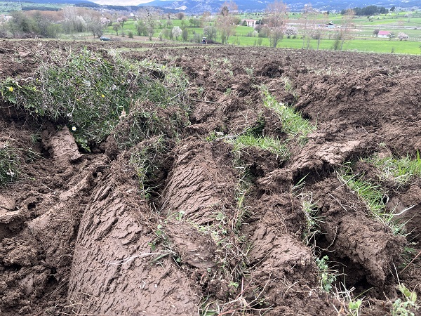 Foto - 70 yıldır boş kalan arazi yeniden filizlenecek