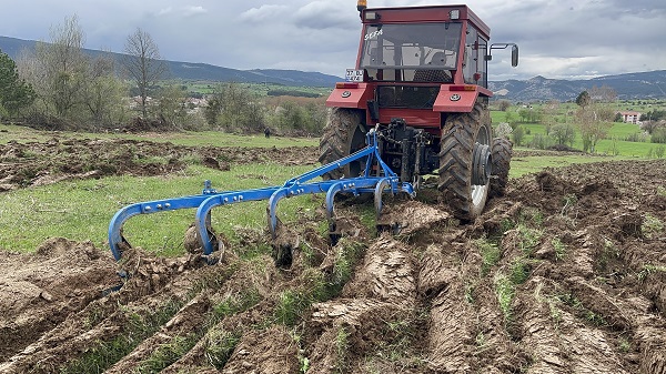 Foto - 70 yıldır boş kalan arazi yeniden filizlenecek