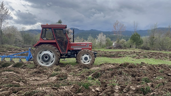 70 yıldır boş kalan arazi yeniden filizlenecek