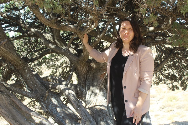 Foto - 700 yaşındaki ağaç tescillendi