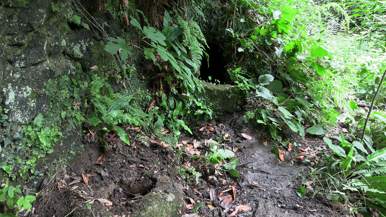 Foto - 700 yıllık su mirası gün yüzüne çıktı! Trabzon’daki sistem iklim krizine örnek oldu