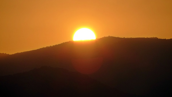 Foto - 7/24 nöbet tutuyorlar! Her biri binlerce lira değerinde