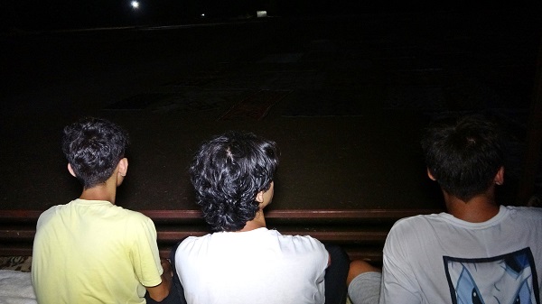 Foto - 7/24 nöbet tutuyorlar! Her biri binlerce lira değerinde