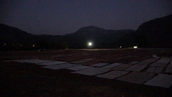 Foto - 7/24 nöbet tutuyorlar! Her biri binlerce lira değerinde