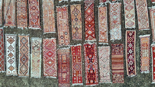 Foto - 7/24 nöbet tutuyorlar! Her biri binlerce lira değerinde