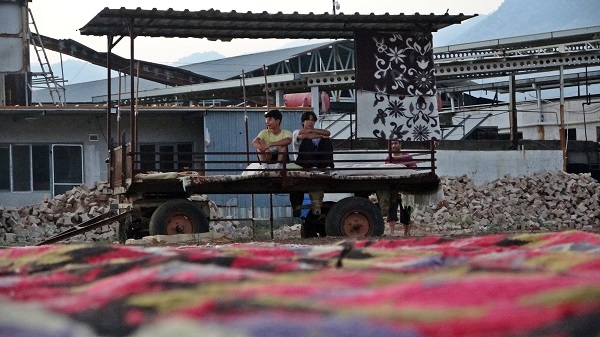 Foto - 7/24 nöbet tutuyorlar! Her biri binlerce lira değerinde