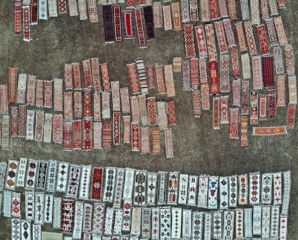 Foto - 7/24 nöbet tutuyorlar! Her biri binlerce lira değerinde