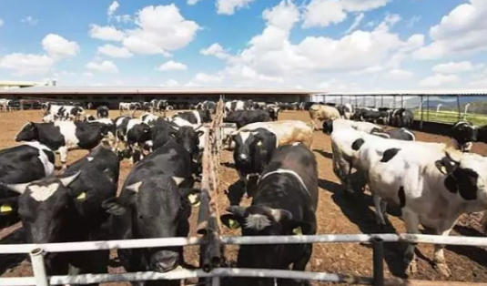 Foto - 73 yıllık Türk firması dayanamadı! İflasını istedi