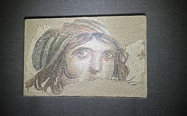 74 günlük hasret sona erdi! Ziyaretçi akını yaşandı