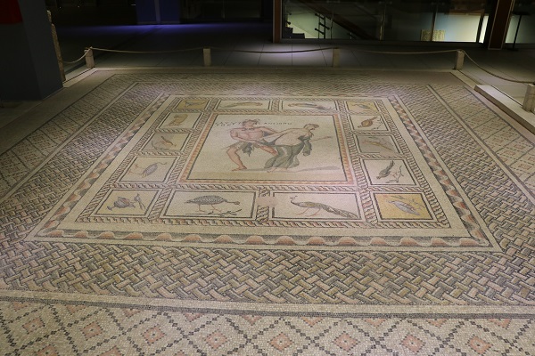 Foto - 74 günlük hasret sona erdi! Ziyaretçi akını yaşandı