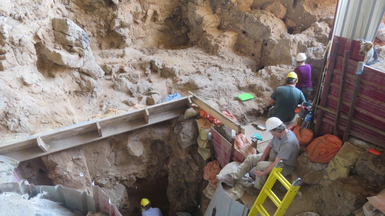 Foto - 75 bin yıllık "cinayetin" izi bulundu! İskeletteki esrarengiz delik bilim insanlarını şaşkına çevirdi