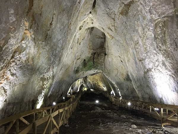 Foto - 75 milyon yıllık gizem!