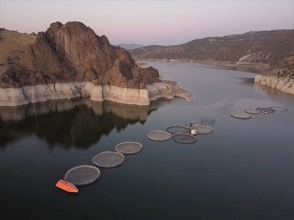 Foto - 75 ton üretmeye başladı! Arazisi sular altında kaldı mesleğini değiştirdi