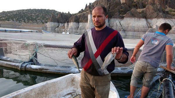 Foto - 75 ton üretmeye başladı! Arazisi sular altında kaldı mesleğini değiştirdi